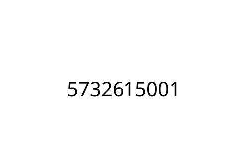 5732615001
