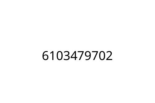 6103479702