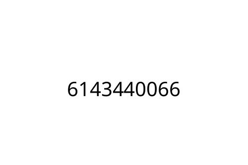 6143440066