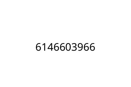 6146603966