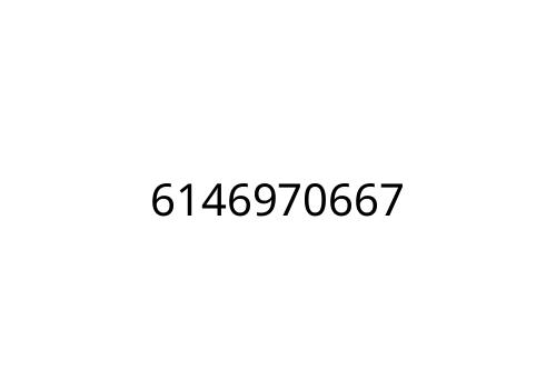 6146970667