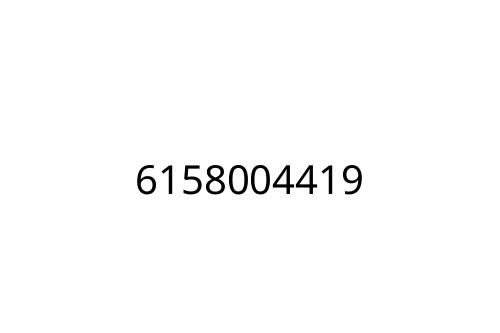 6158004419