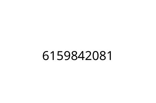 6159842081