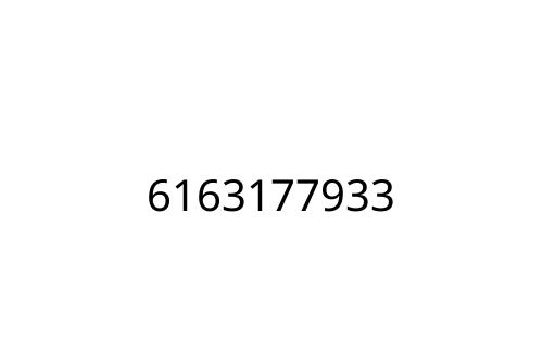 6163177933