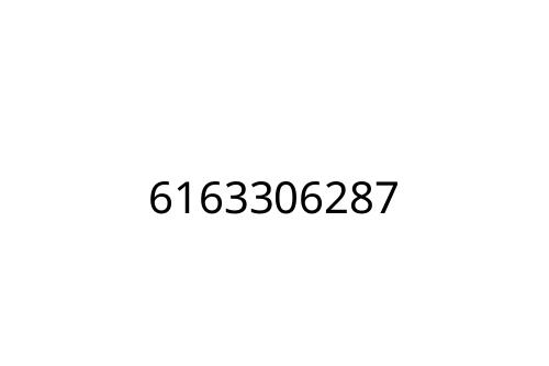6163306287