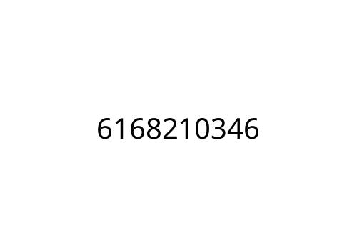 6168210346