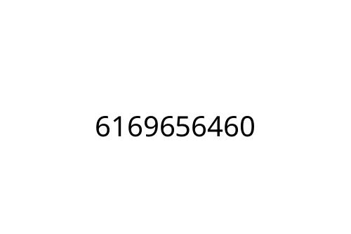 6169656460