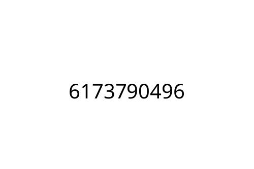 6173790496
