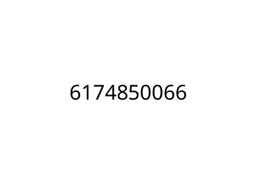 6174850066