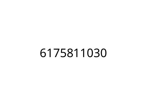 6175811030