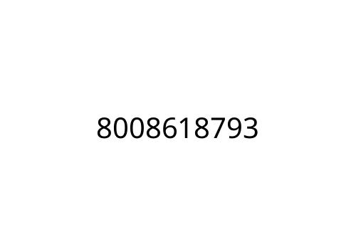 8008618793