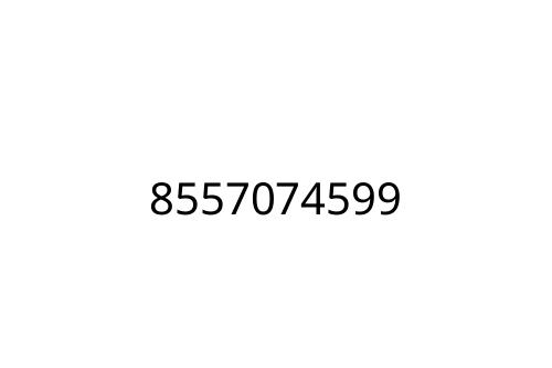 8557074599