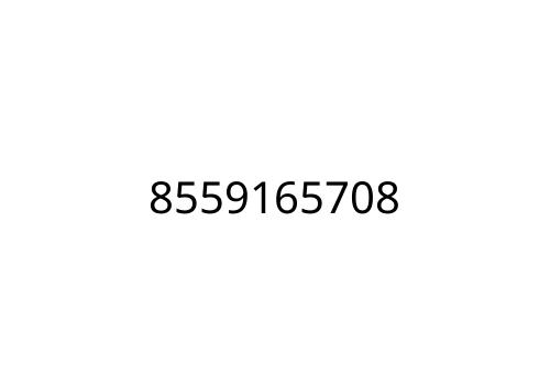 8559165708