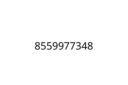 8559977348