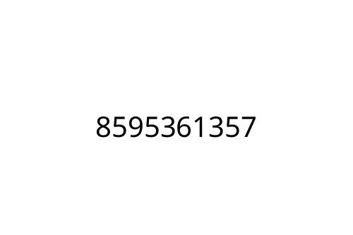 8595361357