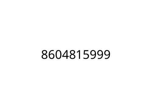 8604815999