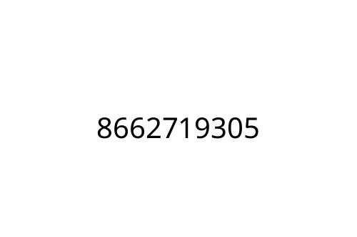 8662719305