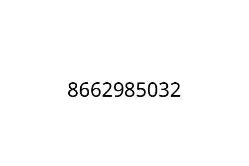 8662985032