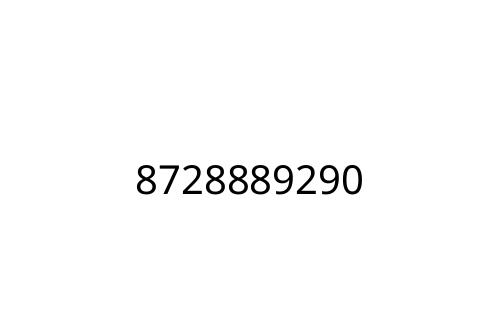 8728889290