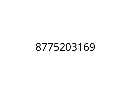 8775203169