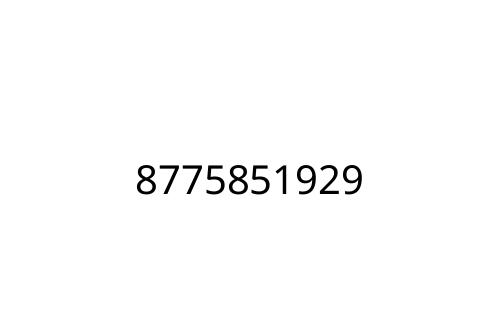 8775851929