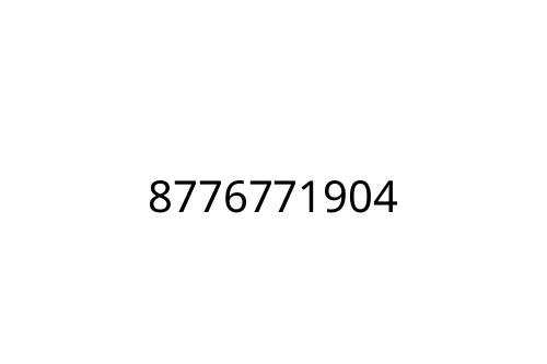 8776771904