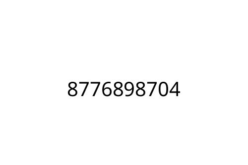 8776898704