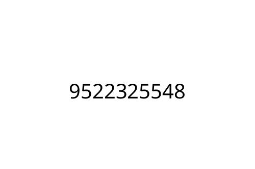 9522325548