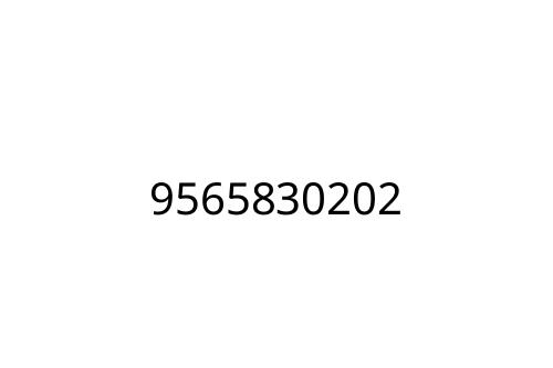 9565830202