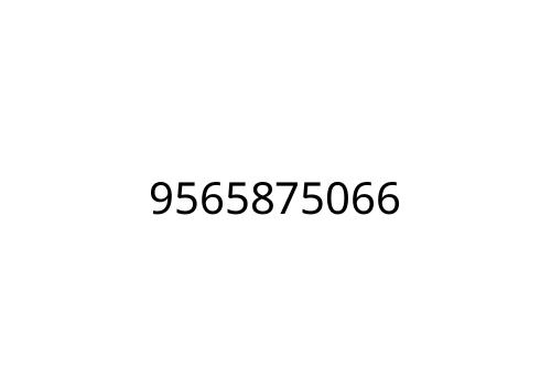 9565875066