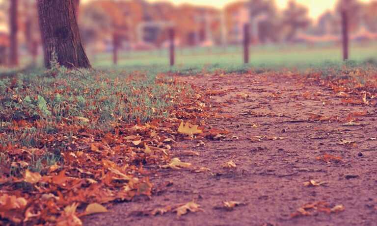 how to use immorpos35.3 software