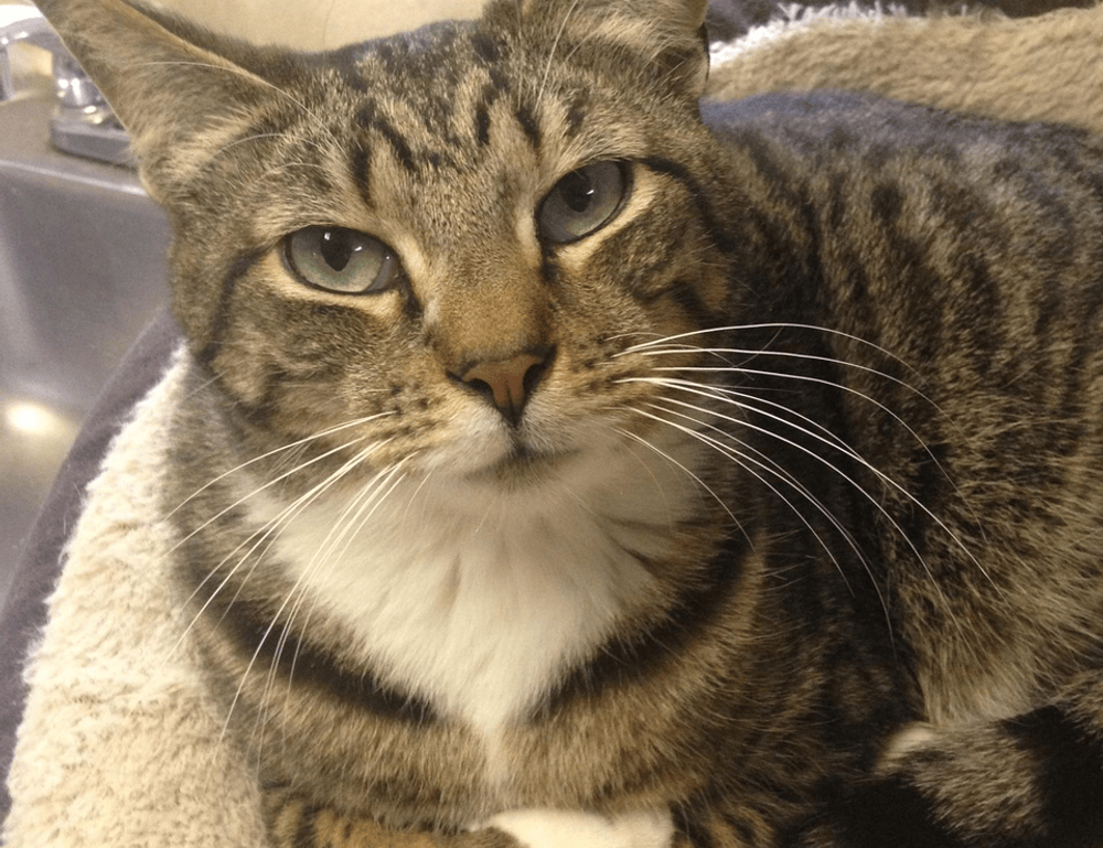 nlagica ketrica climb mountain in germany