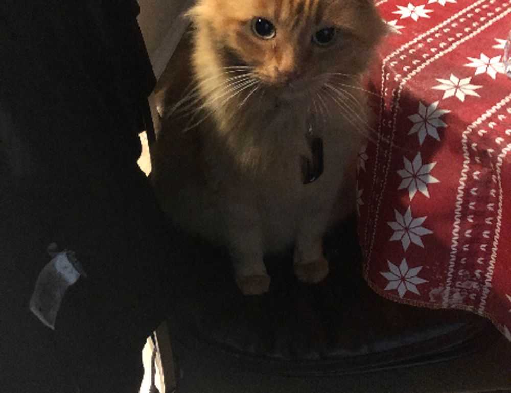 3000 dolares a pesos chilenos