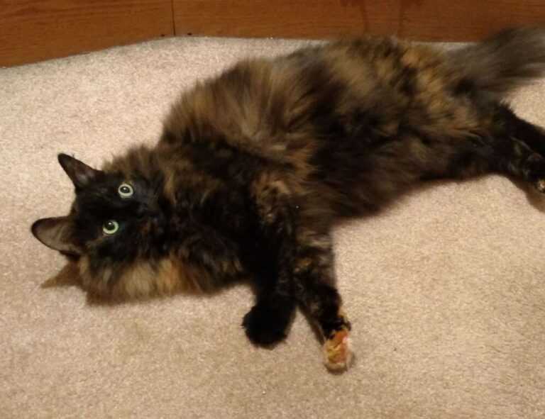 60000 pesos colombianos a soles