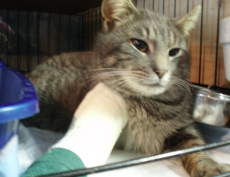 car games unblocked 76