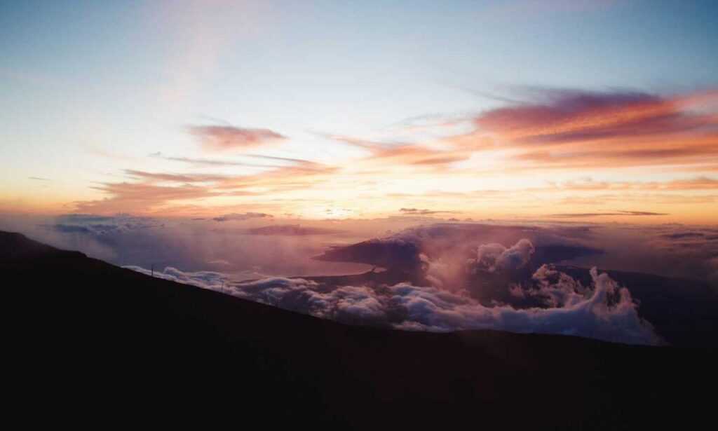 daytime star mangabuddy