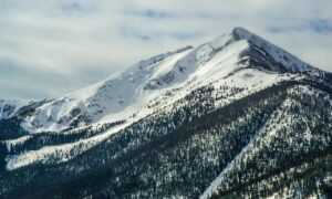 link telegram viral 2023 malaysia