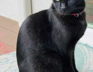 mia sofie onlyfans leaks