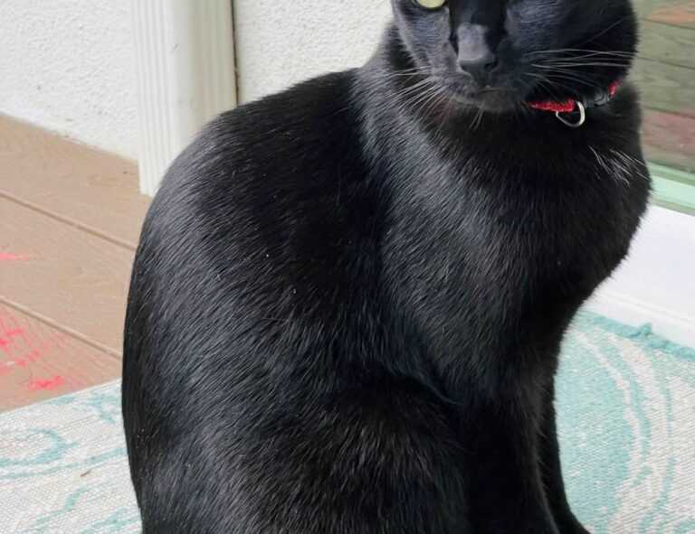 mia sofie onlyfans leaks