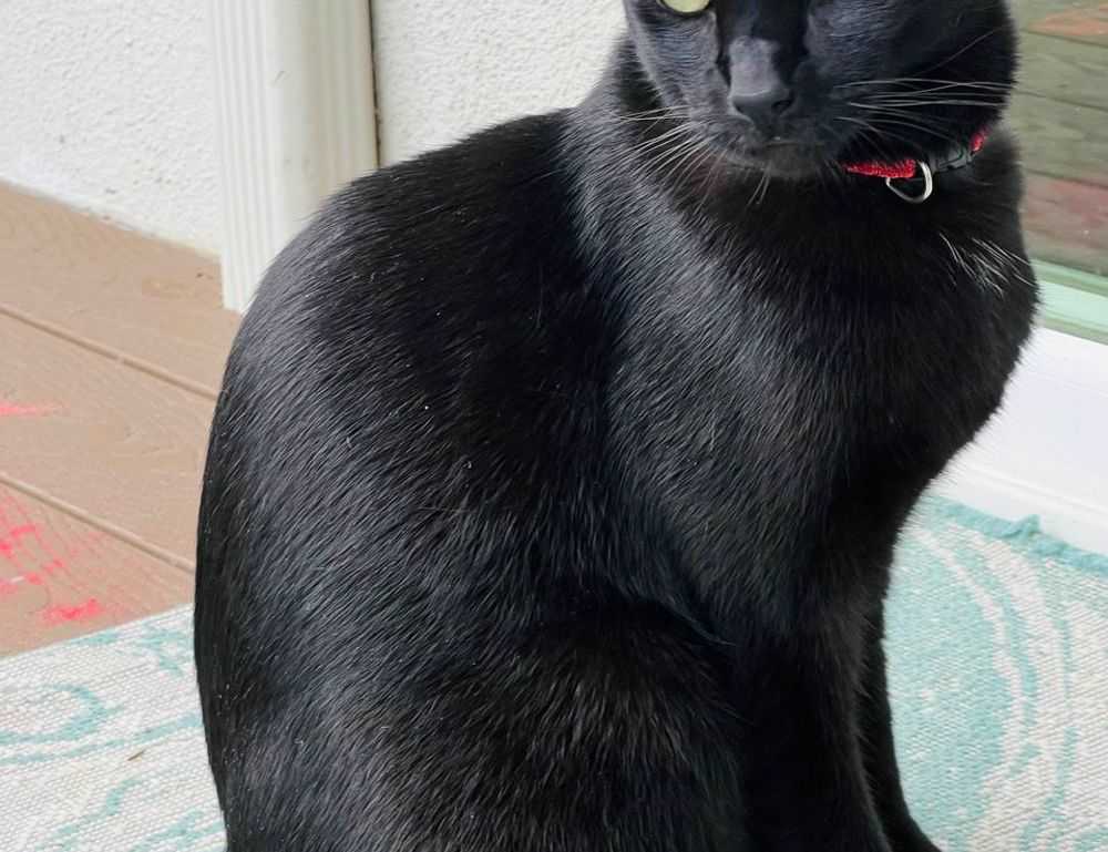 mia sofie onlyfans leaks