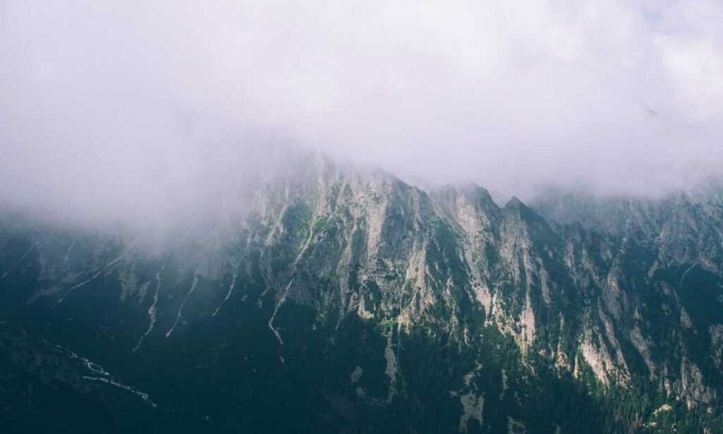 movimiento sonic gif