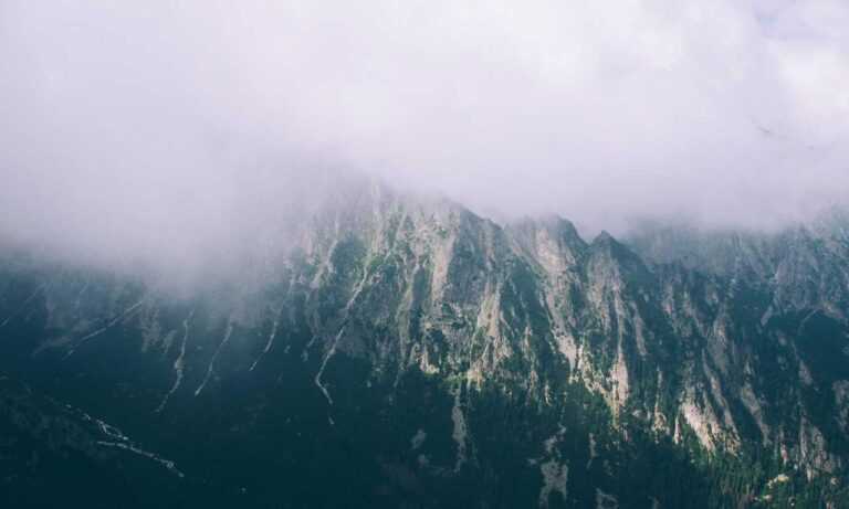 movimiento sonic gif