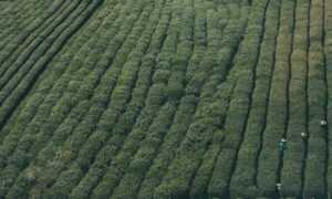 mujeres fondos para perfil de whatsapp