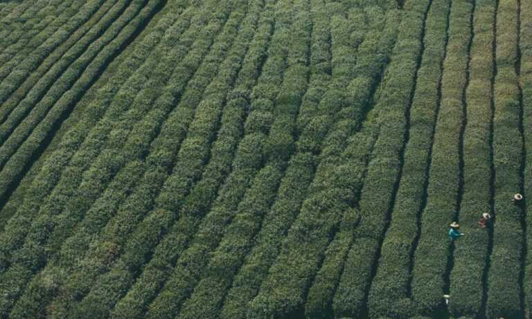 mujeres fondos para perfil de whatsapp