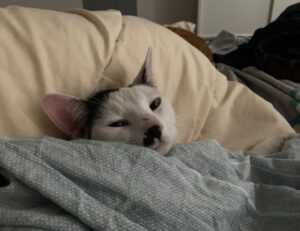 riley mae lewis nude