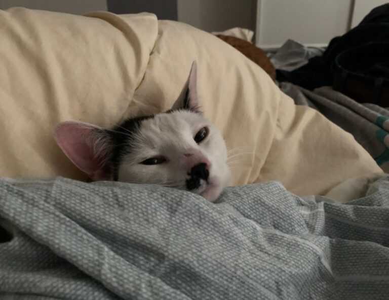 riley mae lewis nude