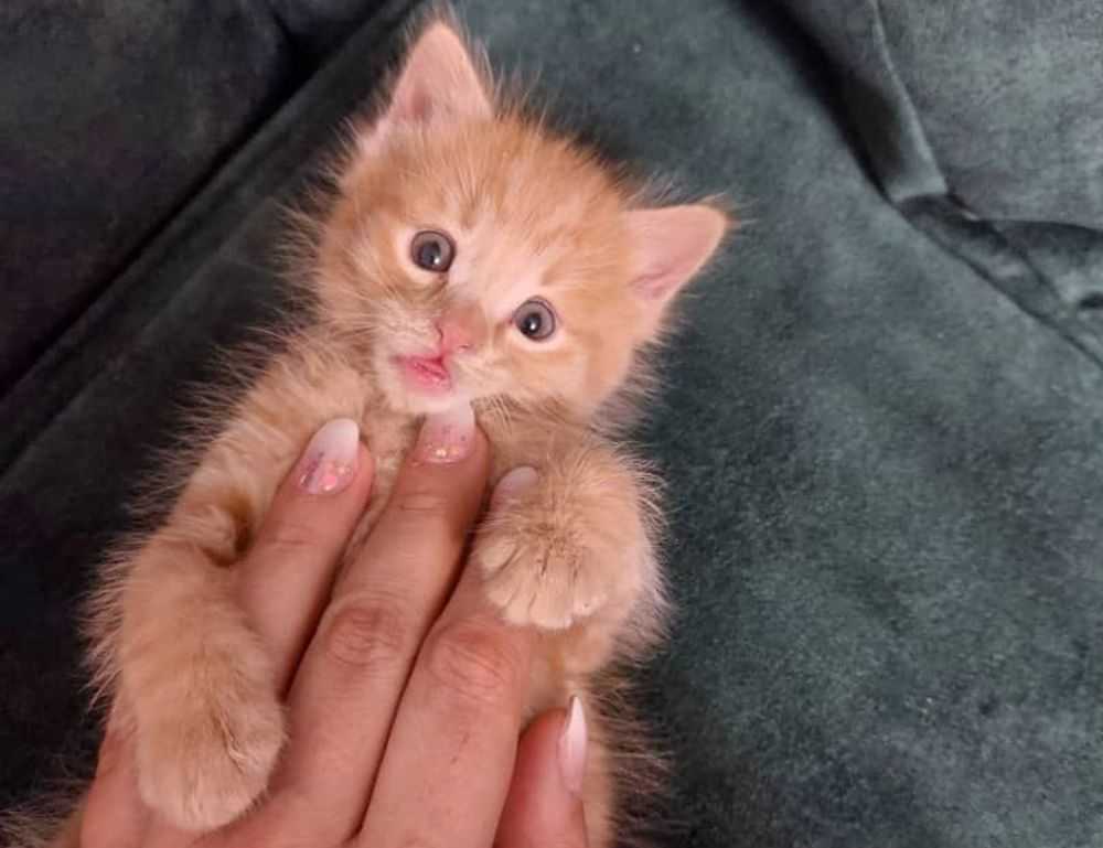 romantic good morning love gif for whatsapp