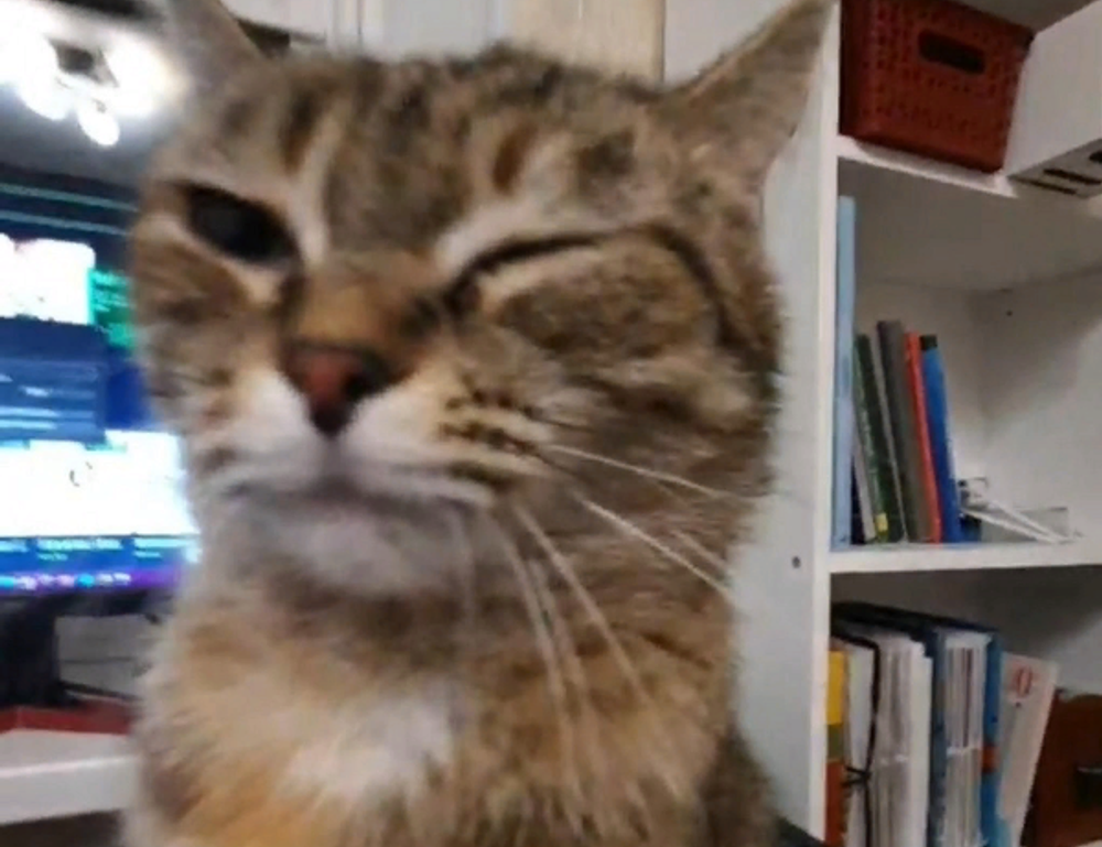 versuri de la george michael careless whispers