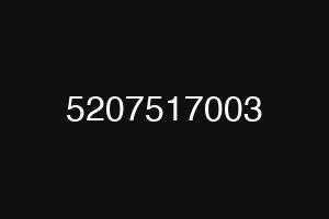 5207517003