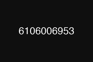 6106006953